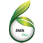 Logo of LuluEthnic android Application 